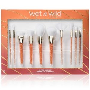 10 Piece Brush Set